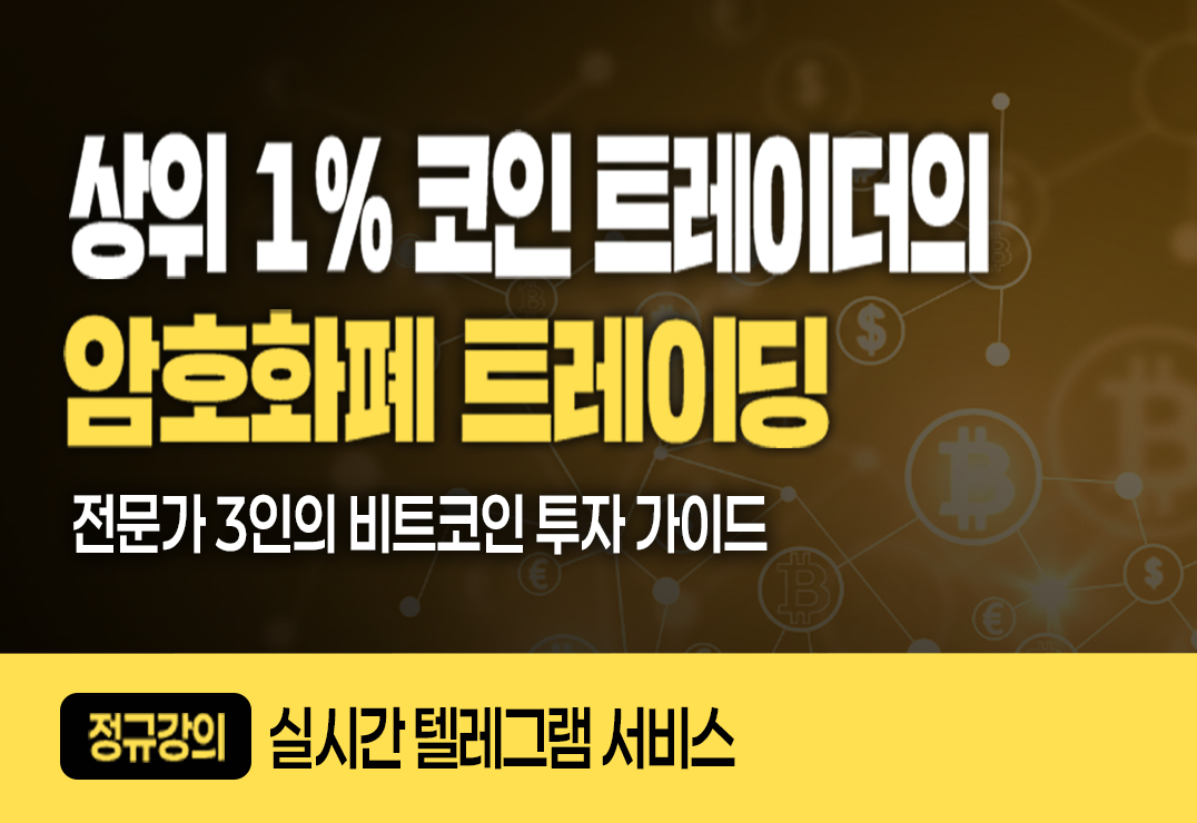 전문가사진